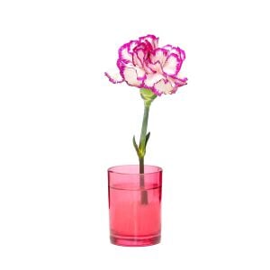 Flora Design-Minimal Kırmızı Cam Vazo