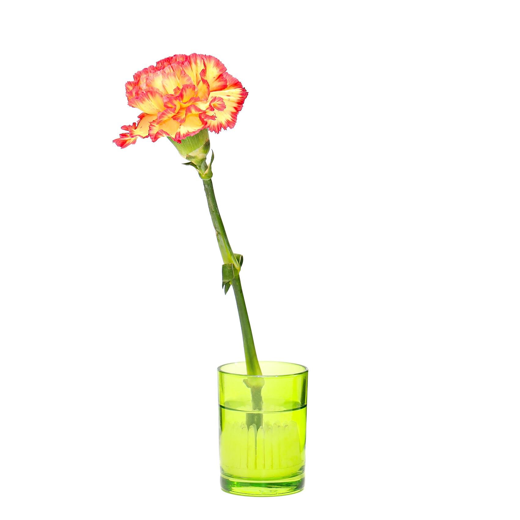 Flora Design-Minimal Yeşil Cam Vazo