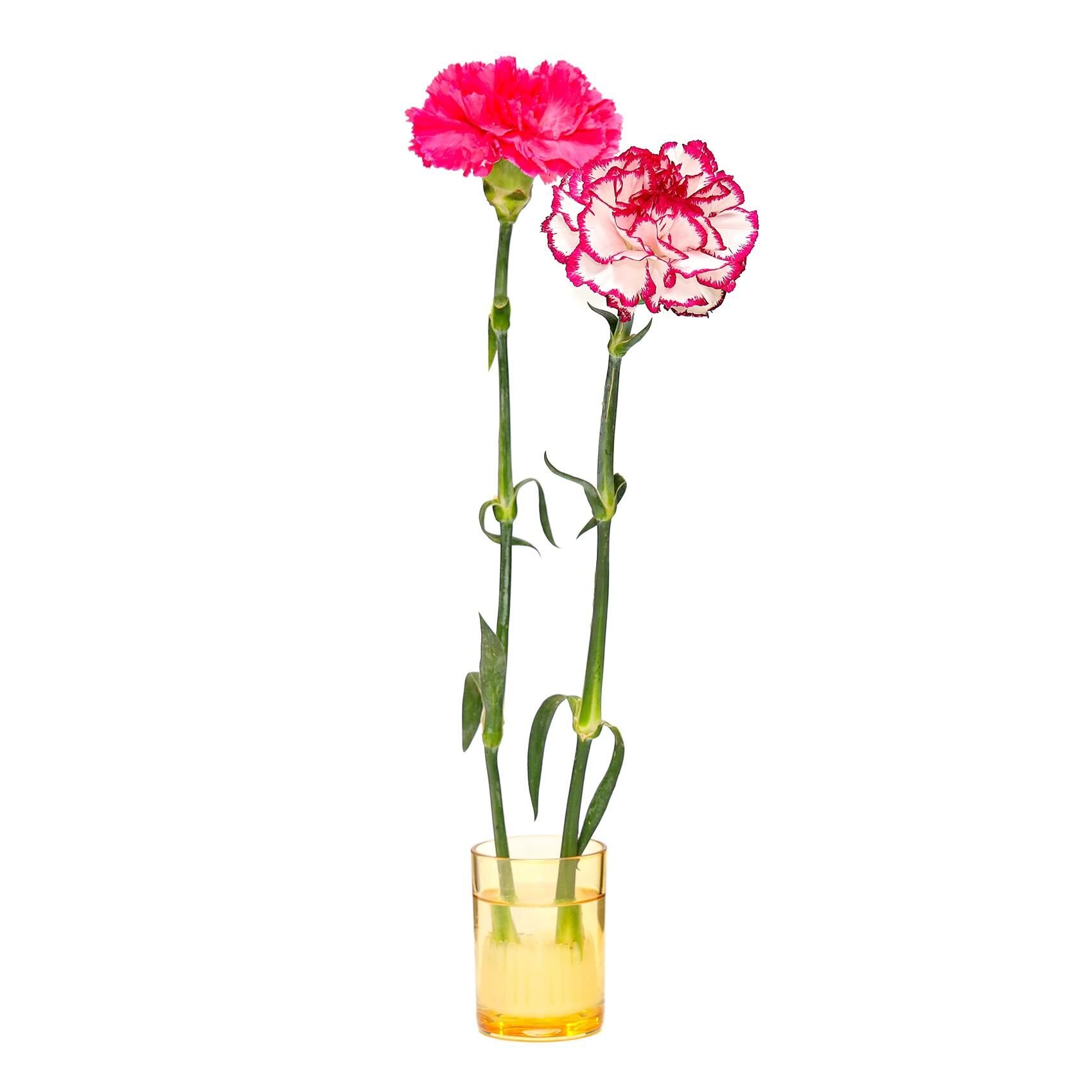 Flora Design-Minimal Amber Cam Vazo