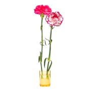 Flora Design-Minimal Amber Cam Vazo