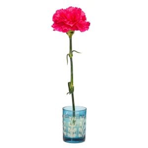 Flora Design- Minimal Mavi Yaprak Kesme Cam Vazo