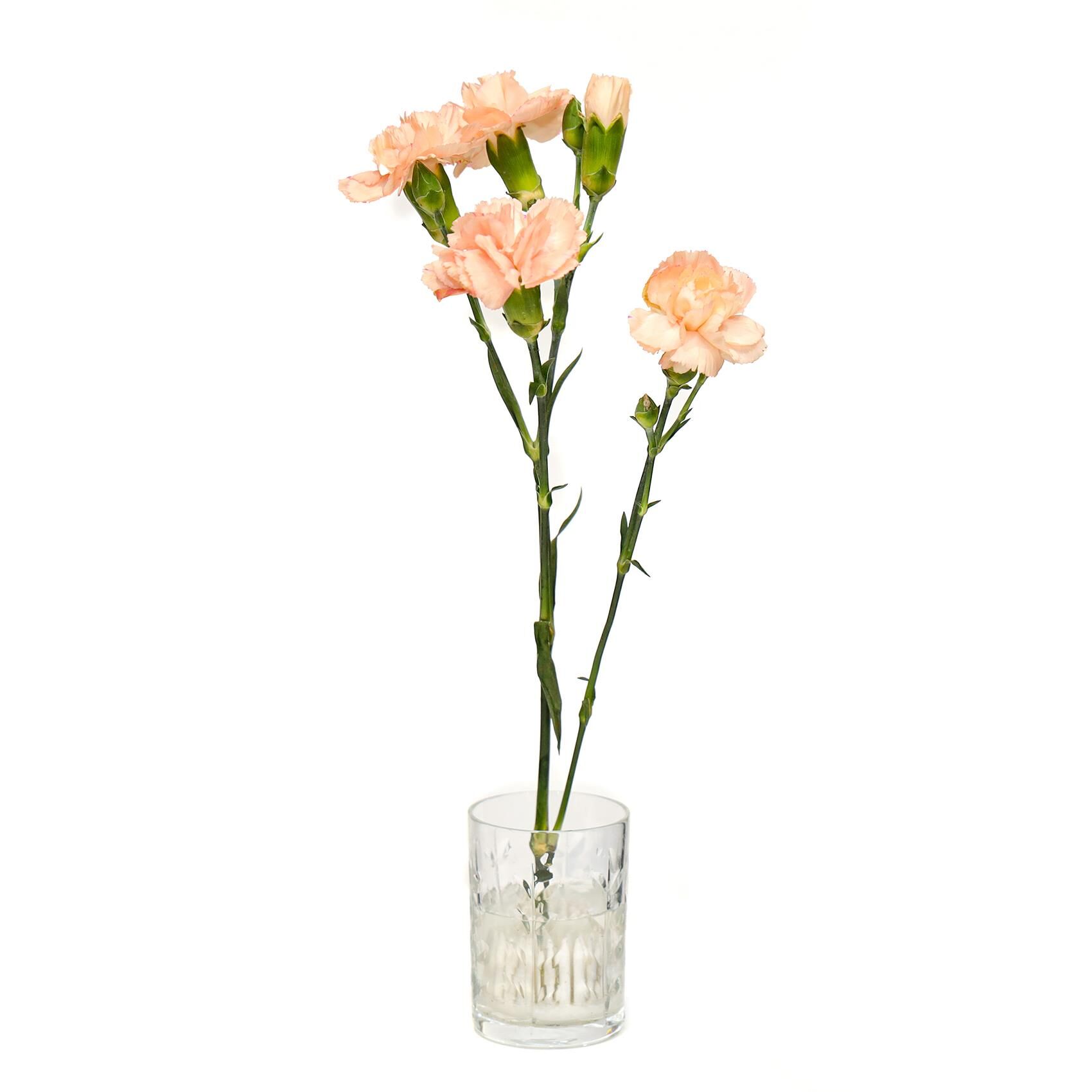 Flora Design- Minimal Şeffaf Yaprak Kesme Cam Vazo