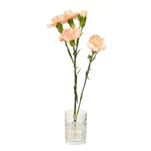 Flora Design- Minimal Şeffaf Yaprak Kesme Cam Vazo