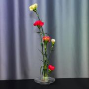 Flora Design-Balance Series Şeffaf Cam Vazo