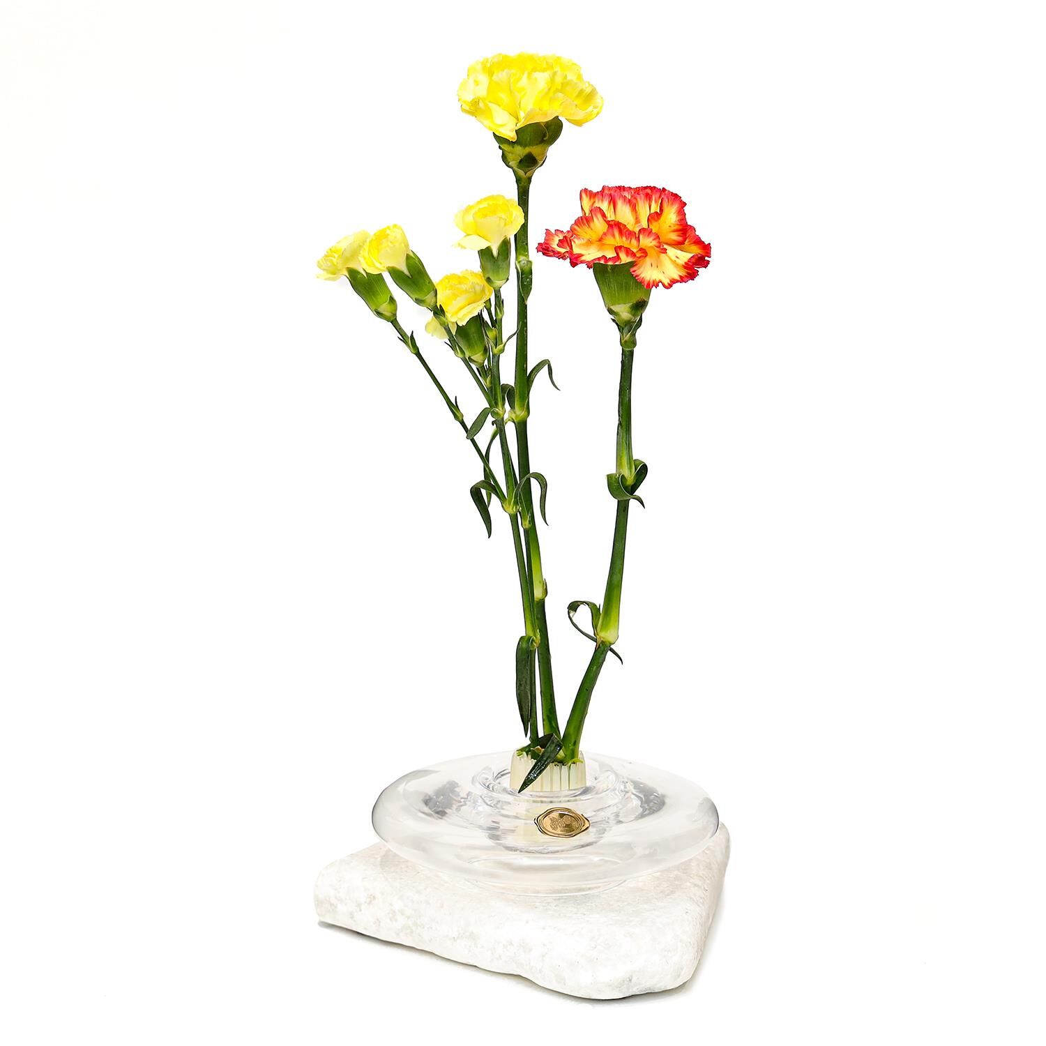 Flora Design-Balance Series Şeffaf Cam Vazo