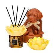 Aura Collection Oda Kokusu & Mumluk Set - Oud Vanilya