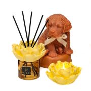 Aura Collection Oda Kokusu & Mumluk Set - Oud Vanilya