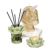 Aura Collection Oda Kokusu & Mumluk Set - White Jasmine