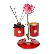 Flora Design-Elegance Kırmızı Cam Vazo