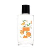 100 ml Cam Şişe Botanical Orange Kokulu Kolonya