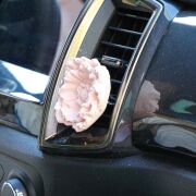 Pembe Şakayık Taşlı Hanımeli Araba/Araç Kokusu (20 ml esans ile birlikte)