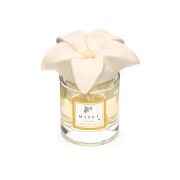 100 ml Palmarosa Çiçeği Seramik Taşlı Vanilya Sandal Oda Kokusu